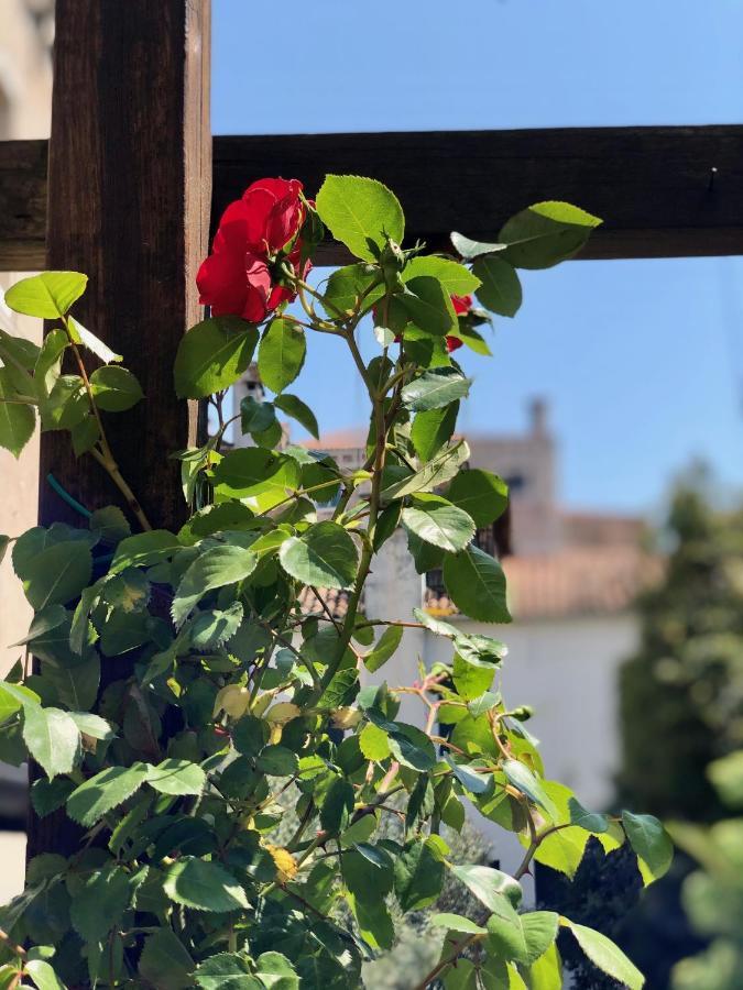 B&B Patatina Venesia Bagian luar foto